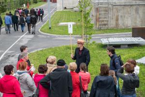 14-DOV-foto_kLemen Razinger_CCN 2019_low res-8346_DSC8346